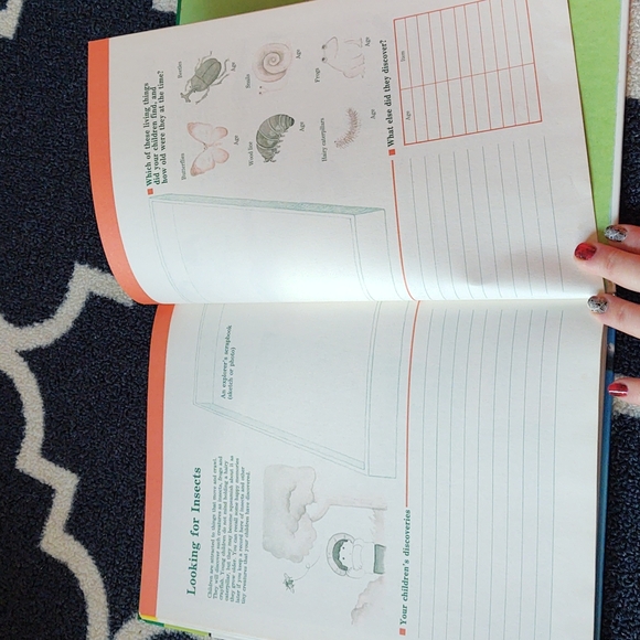 Time-Life A Child's First Library of Learning - Insect World Book - 1988 - Picture 9 of 12